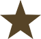 http://www.sapucaia.tur.br/wp-content/uploads/2016/02/summer-star-brown.png